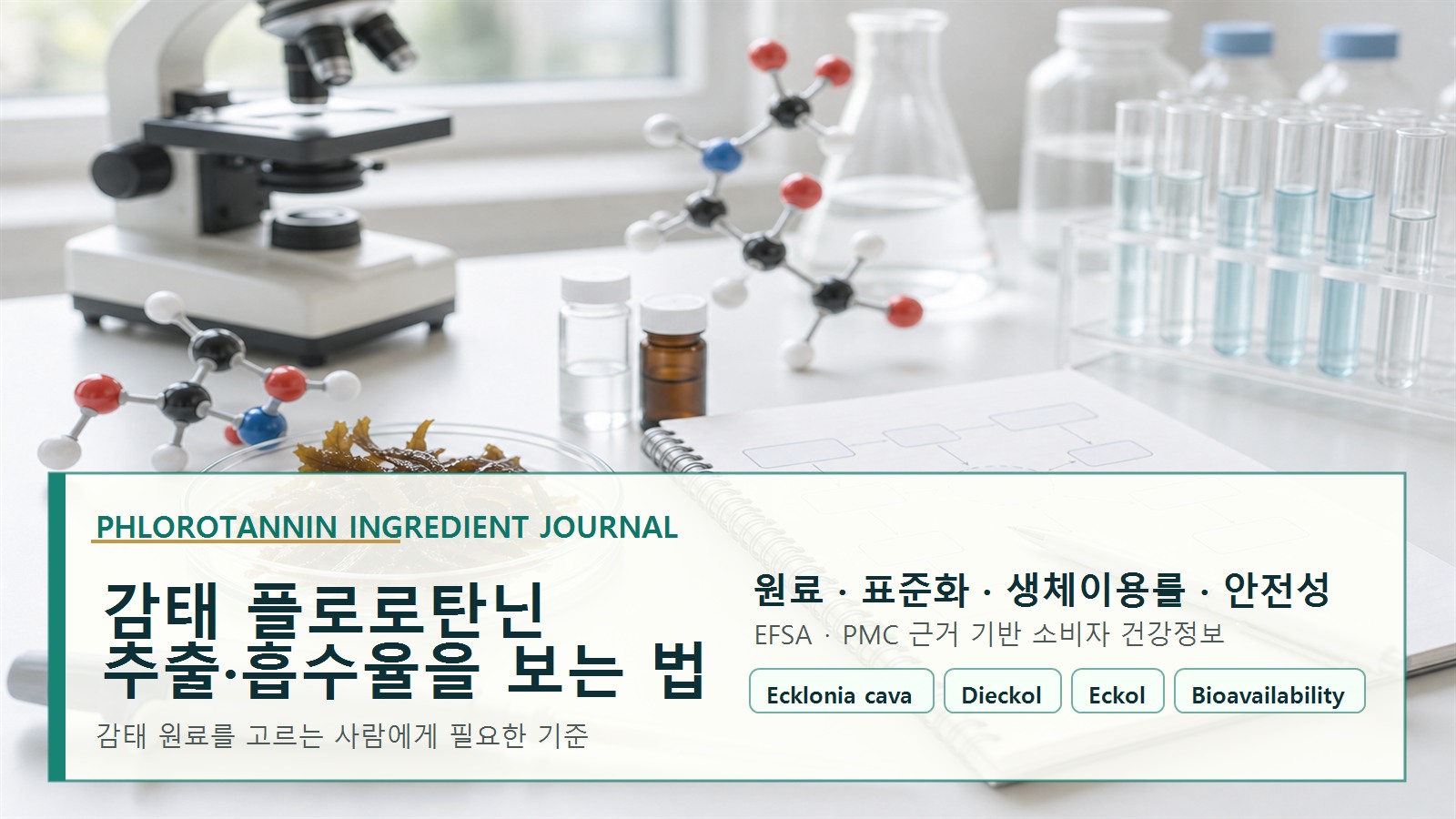 감태 시료와 분자 모형, 흡수 경로 기록을 통해 플로로탄닌의 추출과 생체이용률 연구를 보여주는 사진