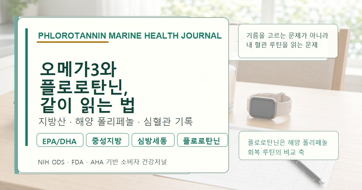 오메가3의 EPA·DHA와 감태 유래 플로로탄닌을 서로 다른 해양 성분으로 비교한 정보 이미지