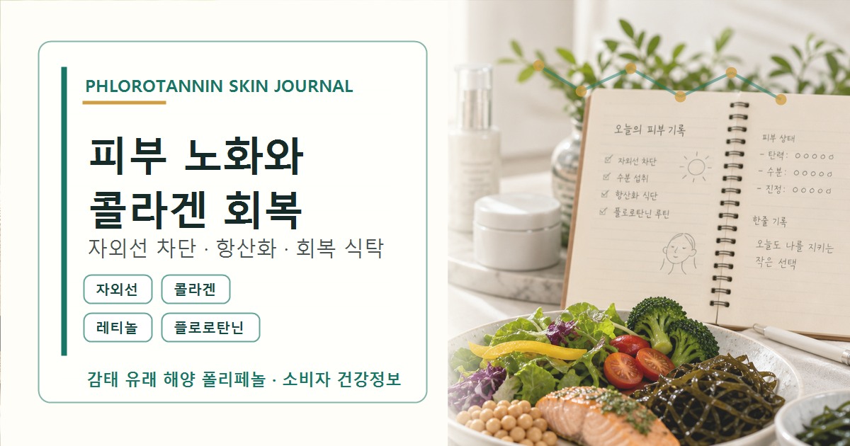 자외선 차단과 피부 수분 탄력 식사 수면을 같은 조건으로 기록하는 피부 광노화 저널