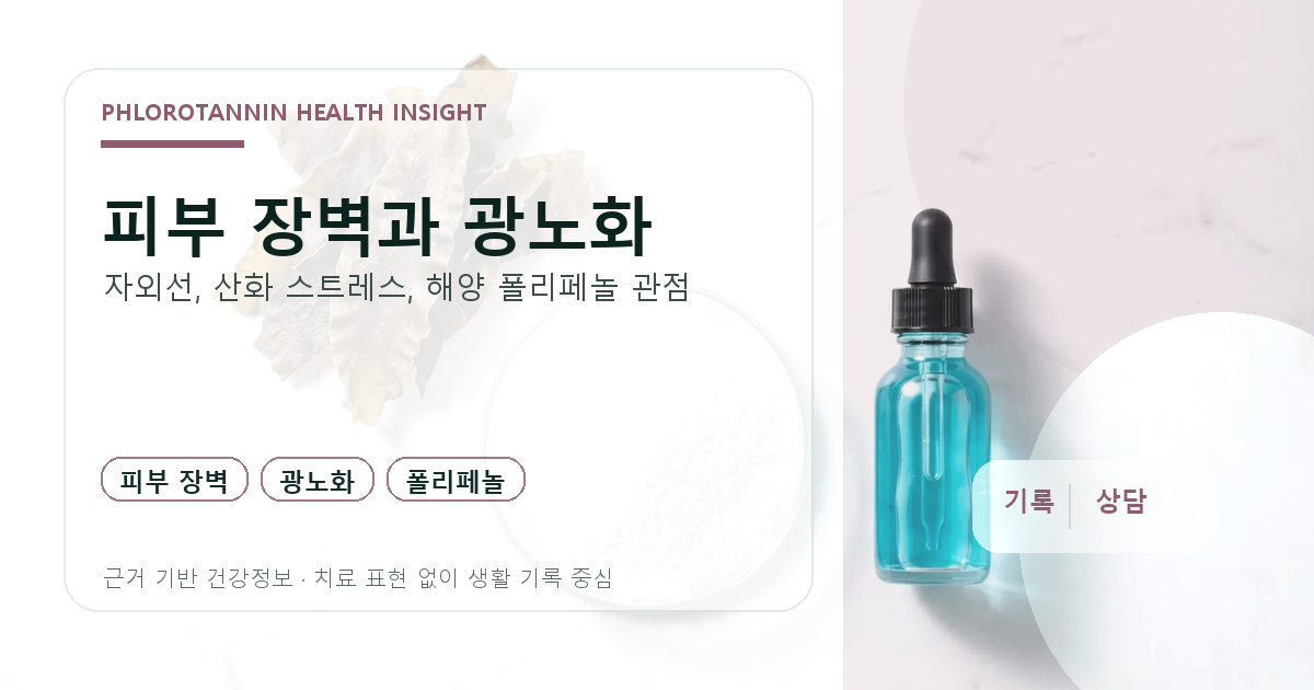 피부 장벽과 광노화 자외선 산화 스트레스 해양 폴리페놀의 관계를 정리한 정보 이미지