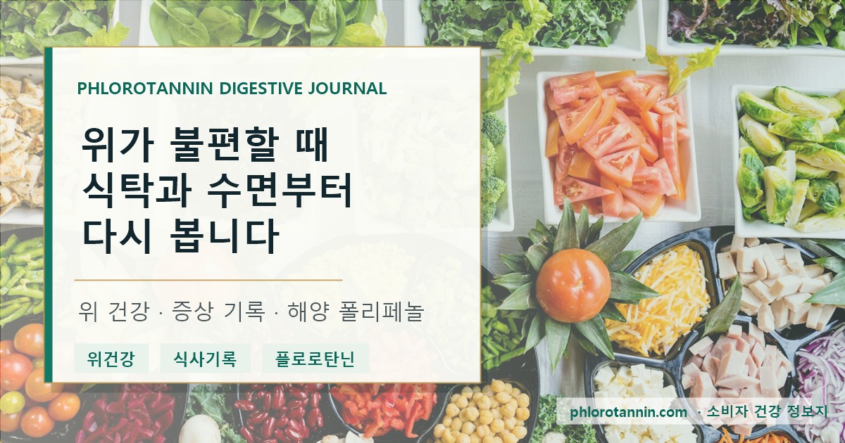 위가 불편할 때 식사 시간과 수면, 증상 위치를 함께 기록하는 소화 건강 저널