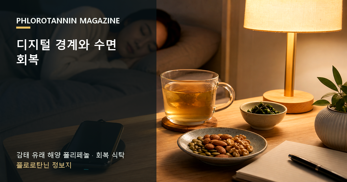 침실 밖에 놓인 휴대폰과 조명을 낮춘 침실, 저녁 수면 기록 노트가 있는 장면